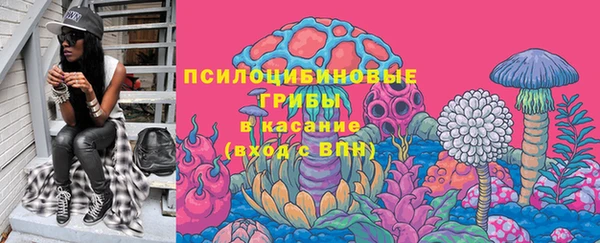 винт Аркадак