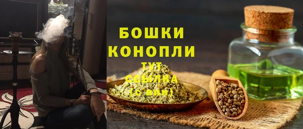 ECSTASY Лиски